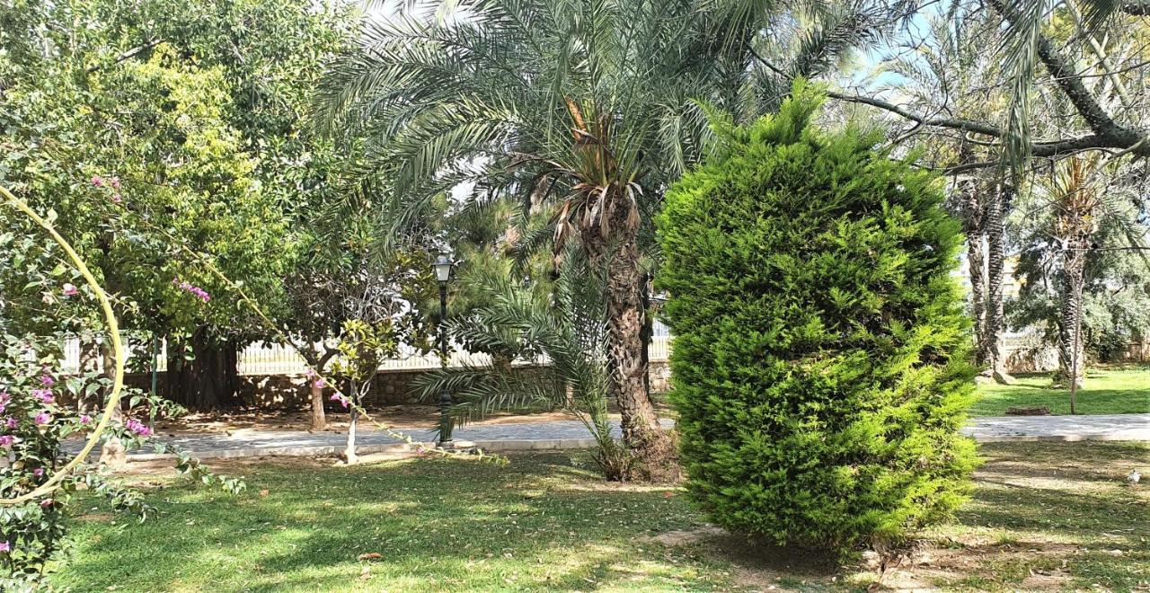 Ecaterina Apartment Torrevieja Dış mekan fotoğraf