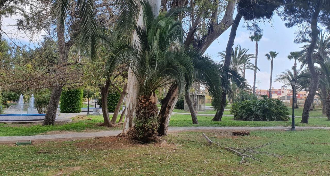 Ecaterina Apartment Torrevieja Dış mekan fotoğraf