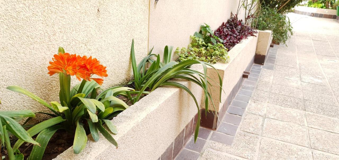Ecaterina Apartment Torrevieja Dış mekan fotoğraf